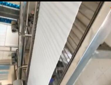 周口涼皮機現場